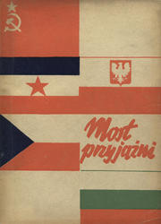 Most przyjaźni.