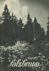 Bad Salzbrunn in Schlesien.