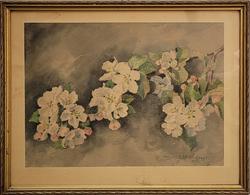 Gałąź kwitnącej jabłoni.