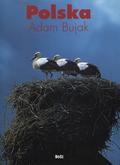 Bujak Adam – Polska.