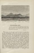 Michaelis Adolf – Der Parthenon.